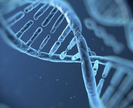 Bayer сотрудничает со стартапом Crispr Therapeutics в области генетики