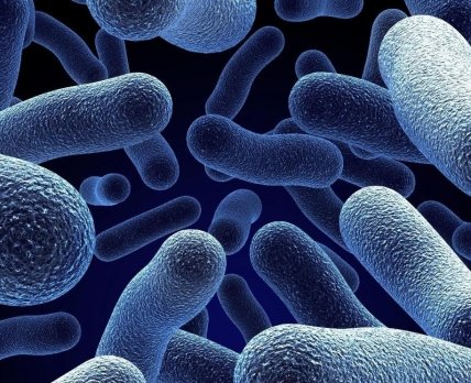 Противовирусный щит из «спящих» бактерий в организме