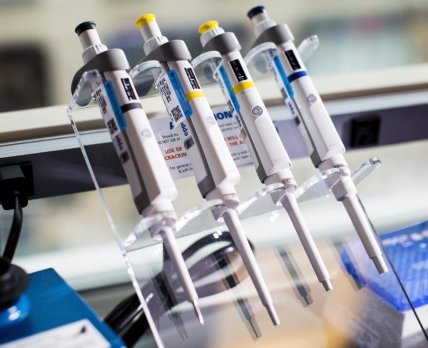 Moderna заявляет об успехе персонализированной противораковой вакцины