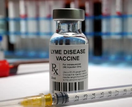 Розслідування дослідження: хто винен у проблемах вакцини Pfizer проти хвороби Лайма?