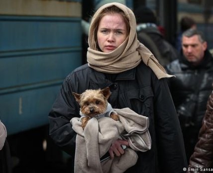 Дівчина тримає собаку біля потягу. Фото: /Emin Sansar