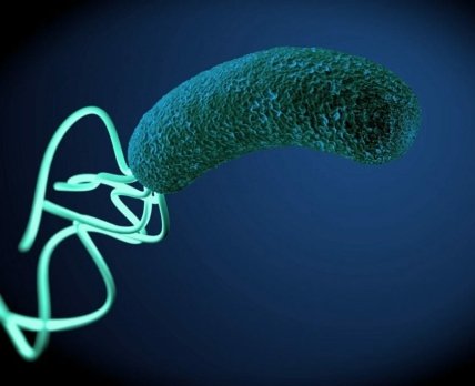 З'явилися два нові варіанти лікування Helicobacter pylori