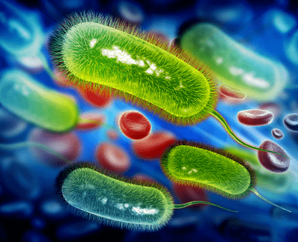 Для лікування Helicobacter pylori найбільш рентабельна потрійна терапія з вонопразаном
