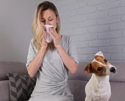 Как оставить аллергены за порогом?