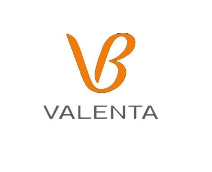 «Валента» продает очередной завод