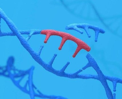«Ненужные» транспозоны: как генетические паразиты помогают разрабатывать инновационные лекарства
