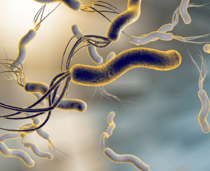 Helicobacter pylori: новые подходы к лечению в руководстве Американской коллегии гастроэнтерологии