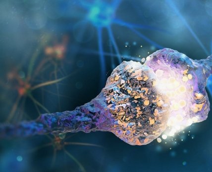 Биотехнологический стартап получил финансирование на разработку нейрорегенеративных лекарств