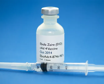 Исследование: вакцины против Эболы «работают»