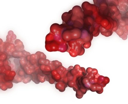 Онкогенный протеин удалось заблокировать благодаря инженерному пептиду