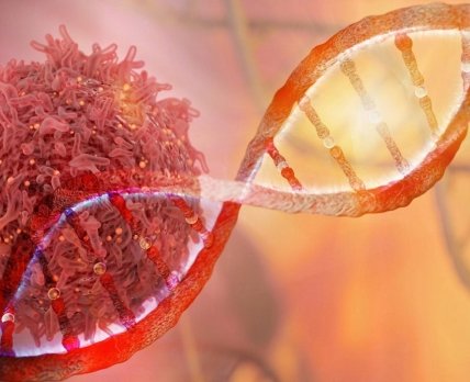 Імпульс до розробки нових онкопрепаратів: відтворено маловідомий шлях відновлення ДНК