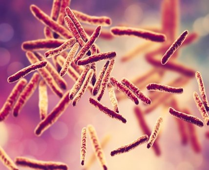 GSK створила ефективний антибіотик проти туберкульозу