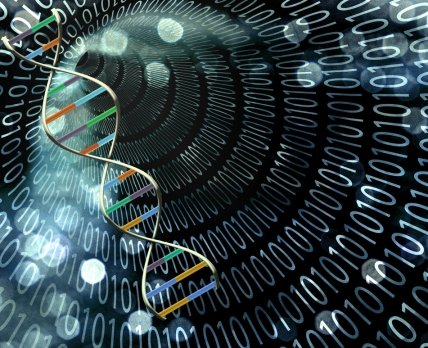 23andMe назначила руководителя направления по перезапуску ДНК-тестов