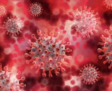 В Израиле выявили новый подвид коронавируса