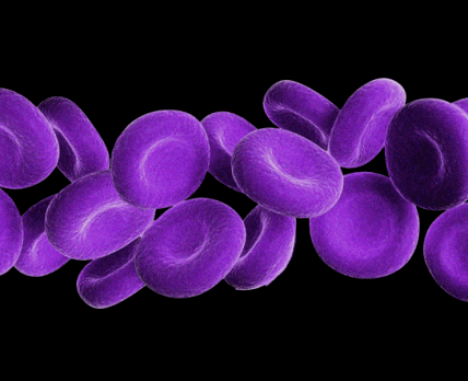 Открыта новая система групп крови
