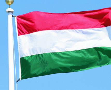 Фармацевтический рынок Венгрии уменьшился на 1,4% в 2013 г.