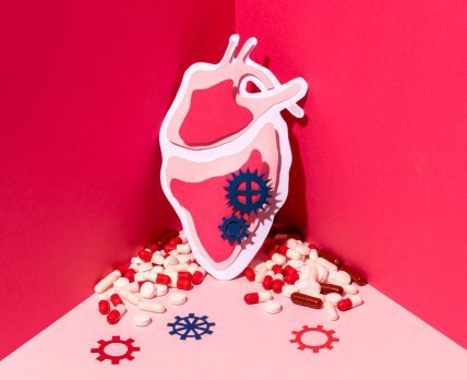 Здоров’я серця: оновлені рекомендації кардіологів ламають стереотипи /freepik