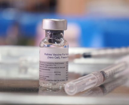 Ошибки при введении антирабической вакцины чреваты заражением бешенством