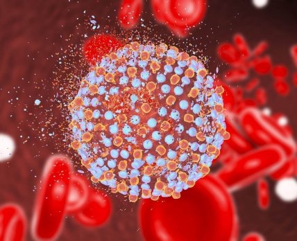 Отвечает вирусолог: 6 наивных вопросов о COVID-19, гриппе и вирусах в целом