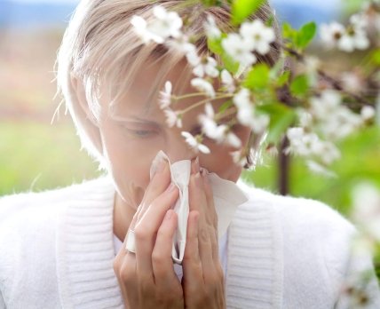 Аллерговакцина от Allergy Therapeutics пропустит сезон поллиноза