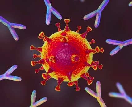 Конъюгаты – эволюция моноклональных антител: фармгиганты скупают новые препараты от рака