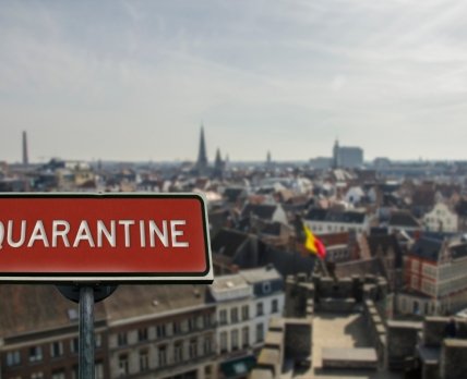 Карантин для зараженных осп обезьян ввели в Бельгии