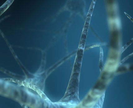 BioMotiv и Biogen сфокусировались на разработках в области неврологии