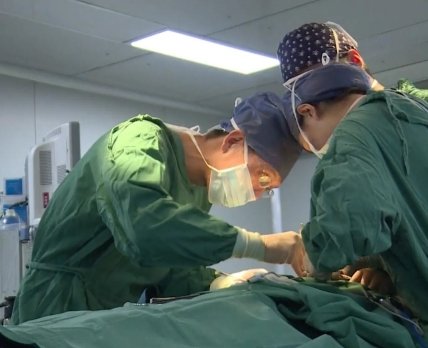 В Китае забирают органы на трансплантацию, не дожидаясь смерти мозга