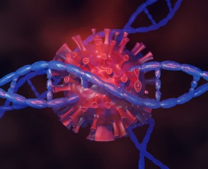 Від інфекцій нас захищає «антична» вірусна ДНК