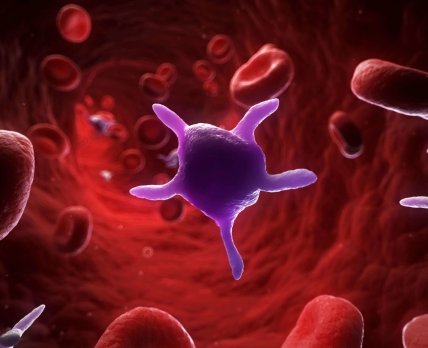 Гидрогель + антитела: SelSym будет контролировать кровотечения с помощью синтетических тромбоцитов