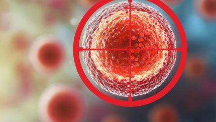 Tango Therapeutics успішно випробувала нову схему лікування раку підшлункової залози