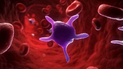 Гідрогель + антитіла: SelSym контролюватиме кровотечі за допомогою синтетичних тромбоцитів
