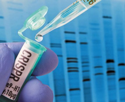 FDA одобрило первый тест на коронавирус на основе CRISPR-технологии