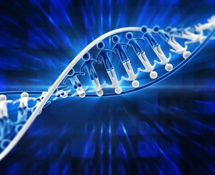 Sarepta и Selecta усовершенствуют препараты генной терапии
