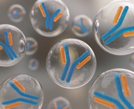 Революционная пневмококковая вакцина от Affinivax \ Astellas получила статус прорывной терапии
