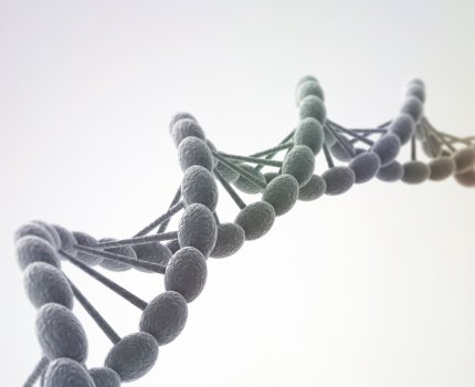 Исследователи Genentech создали новую компанию под названием Denali Therapeutics