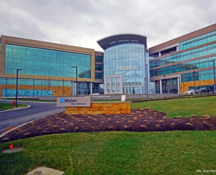 Mylan призывает Teva к немедленным действиям