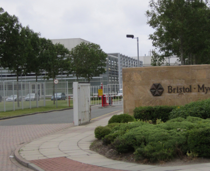 «Химия» от Bristol Myers-Squibb показала впечатляющий эффект при раке крови