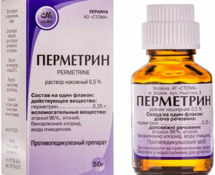 Врачи описали эффективные схемы лечения чесотки