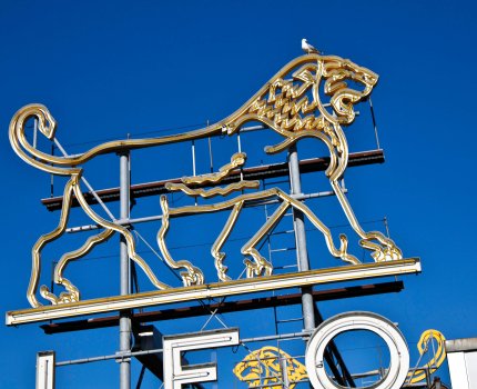 LEO Pharma отзывает Picato из-за риска развития рака кожи