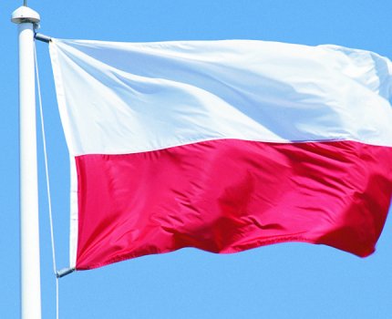 Польша запретила экспорт лекарств, предназначенных для лечения COVID-19