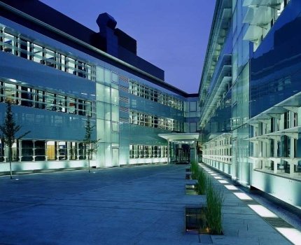 Roche открыта для партнерства в области иммунотерапии рака