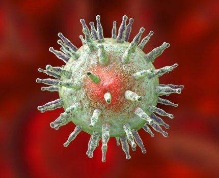 FDA дозволило дослідити препарат, що лікує канцерогенні наслідки мононуклеозу