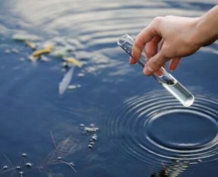 Понад 18% проб води в місцях купання не відповідають нормам: МОЗ повідомляє про кишкову паличку /Depositphotos