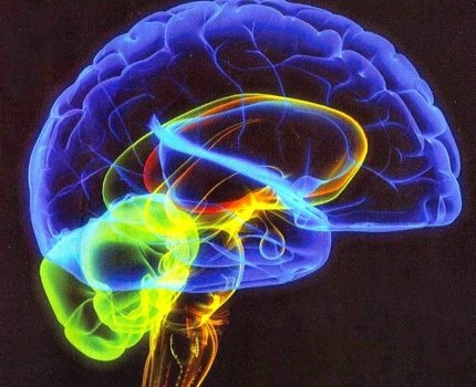 AbbVie вошла в состав британского Dementia Consortium