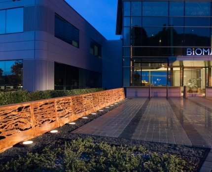 Руководитель BioMarin Pharmaceutical стал лучшим предпринимателем года в категории Life Sciences