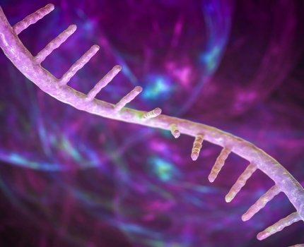 Sanofi вступила в коллаборацию с Alloy Therapeutics