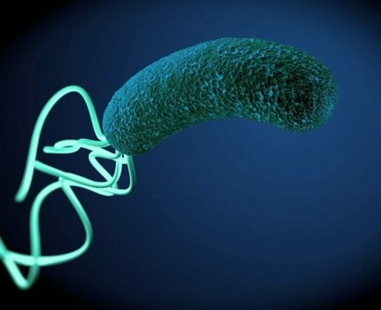 Появились два новых варианта лечения Helicobacter pylori