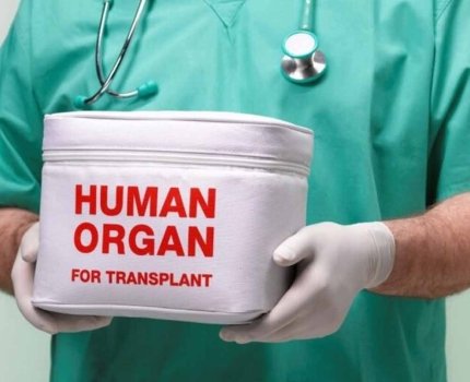Понад 300 пересадок органів за шість місяців: як розвивається трансплантація в Україні