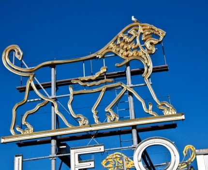 Leo Pharma возобновила поставки препарата от розацеа